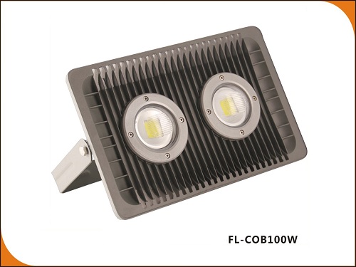 JR-FL-COB100W